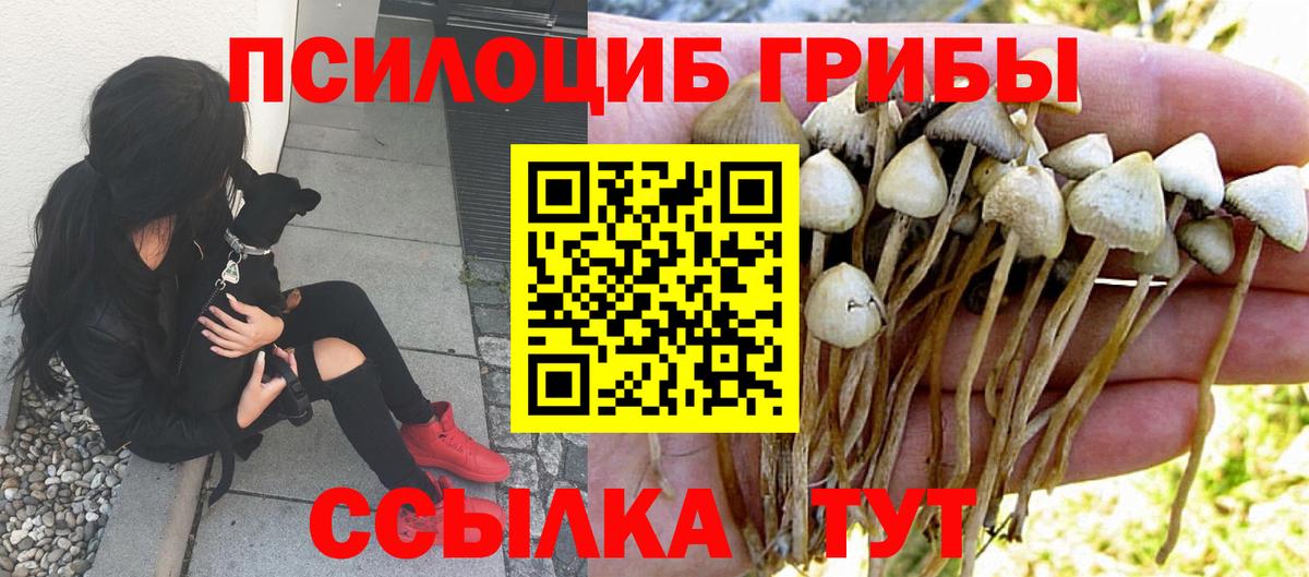 Псилоцибиновые грибы Psilocybine cubensis Иркутск