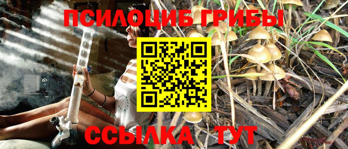 Псилоцибиновые грибы Magic Shrooms  Вход с VPN  наркота  Иркутск  Псилоцибиновые грибы прущие грибы 